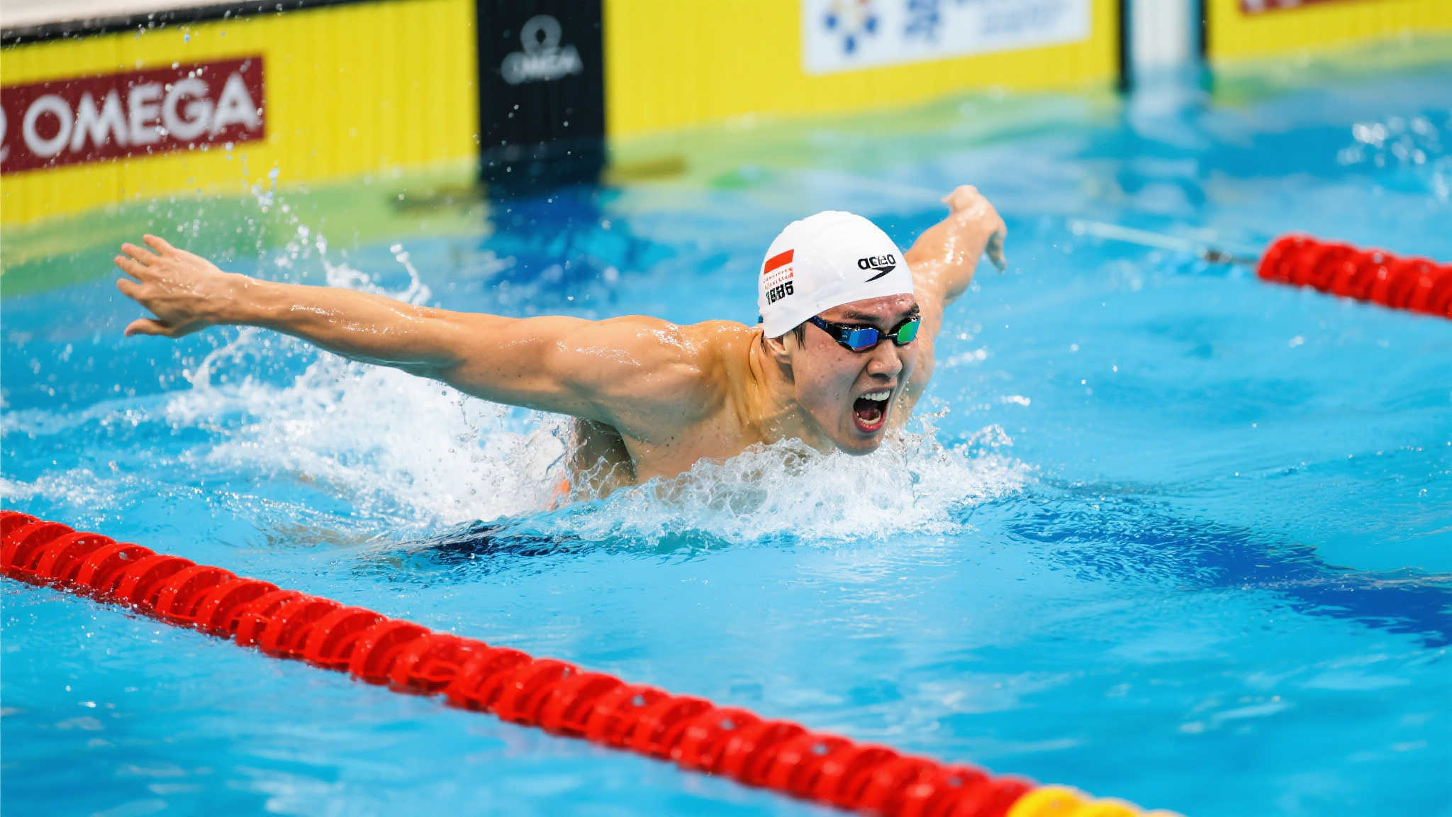 多特蒙德的 多特蒙德的